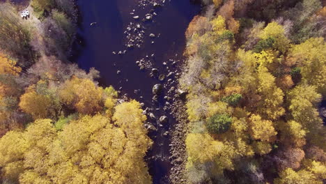 Atemberaubendes-Drohnen-Überflugvideo-Eines-Farbenfrohen-Waldes-Am-Flussufer