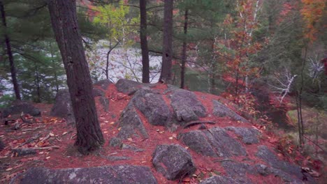 Moving-right-and-panning-left-at-some-rocks-beside-a-boardwalk-on-a-trail-in-a-fall-coloured-forest-beside-a-lake