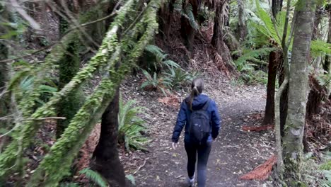 Una-Mujer-Caminando-Por-Un-Sendero-En-Un-Bosque-De-Nueva-Zelanda-Rodeado-De-Helechos