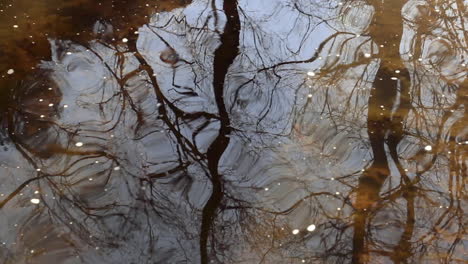 Trees-and-sky-reflected-in-a-slow-moving-creek-create-a-tranquil-abstract-pattern-reflected-on-the-surface-of-the-water