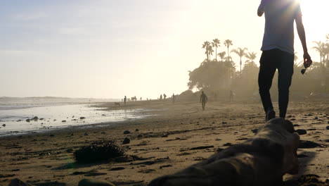 Ein-Junger-Mann,-Der-Bei-Sonnenuntergang-An-Einem-Malerischen-Strand-In-Kalifornien-Spaziert,-Mit-Menschen-Und-Palmen-In-Der-Silhouette-Zur-Goldenen-Stunde