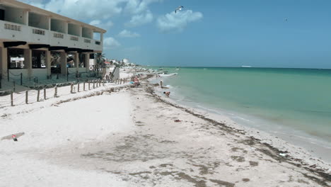 Strand-Von-Progreso-Leben-In-Merida-Yucatan-Mexiko