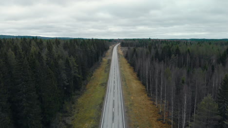 Aerial,-drone-shot,-flying-along-a-road,-between-pine-trees-and-leafless-birch-forest,-on-a-cloudy,-autumn-day,-in-Juuka,-North-Karelia,-Finland