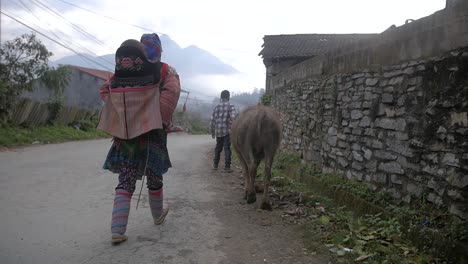 Flower-Hmong-woman-carrying-baby-on-back---walking-trail-taking-buffalo-to-Bac-Ha-market