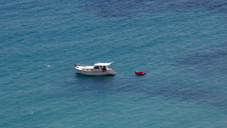 Small-boat-in-ocean-with-seagull-flying-by