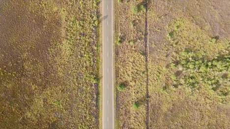 Aerial-flight-following-road-over-yellow-barren-grassland-in-Tasmania-in-Australia,-birds-eye-perspective-moving-forward