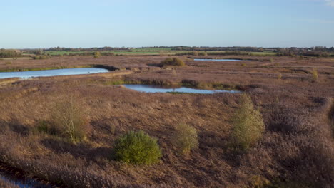 Aerial-rising-POI-general-view-of-Stodmarsh-nature-reserve,-Kent,-UK-managed-by-natural-England