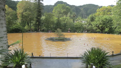 La-Piscina-De-Agua-Termal-Del-Parque-Terra-Nostra-En-Furnas-En-La-Isla-De-Sao-Miguel