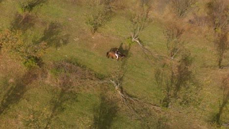 Aerial-tracking-drone-shot-of-girl-ride-disobedient-horse