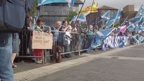 Un-Springer-Spaniel-Inglés-Disfruta-De-La-Protesta-En-La-Sala-De-Conciertos-De-Perth