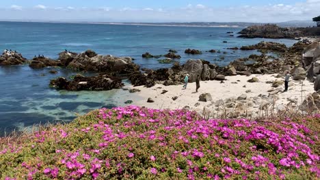 Wunderschöne-Küstenlandschaft-Entlang-Der-Felsigen-Küste-Von-Pacific-Grove,-Im-Monterey-County,-Kalifornien