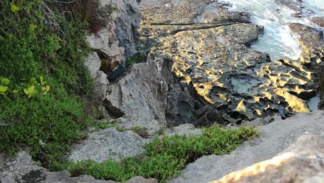 Adventure-traveler-hiker-scrambles-down-rocky-sea-cliff