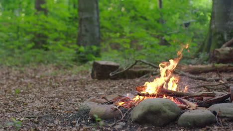 summer-campfire-in-the-forrest