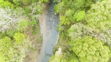 Birds-eye-view-of-a-curvy-river-flowing-through-thick-tree-covered-foliage