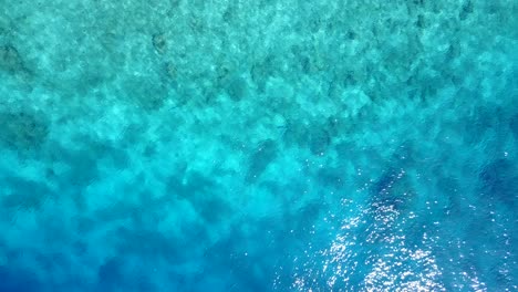 The-Beautiful-Marine-Life-Of-The-Coral-Reef-By-The-Beach-Of-The-Bahamas-On-A-Sunny-Day---Aerial-Shot