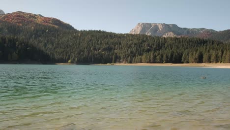 Caminando-Por-El-Lago-Negro-Durante-La-Puesta-De-Sol-En-El-Parque-Nacional-Durmitor-En-Montenegro-En-La-Temporada-De-Otoño