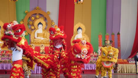 Lion-dance-buddha-birthday-festival,brisbane-2018-Lion-Dance-Show-In-Chinese-New-Year-Festival