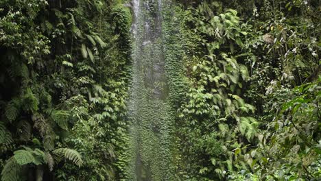 Slow-motion-shot-of-a-tall-and-thin-waterfall-coming-down-through-the-jungle-of-Bali