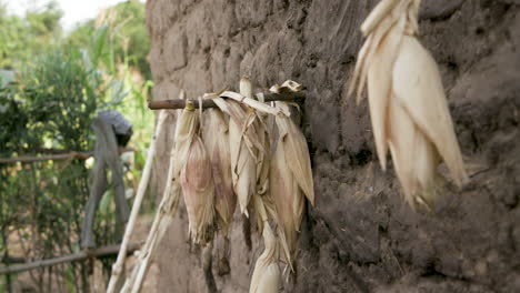 Maíz-Colgando-Del-Costado-De-Una-Casa-Rural-En-Las-Afueras-De-Kigali,-Ruanda