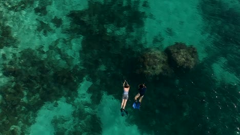 Aerial-video-of-two-girls-exploring-a-tropical-coral-reef-while-snorkelling