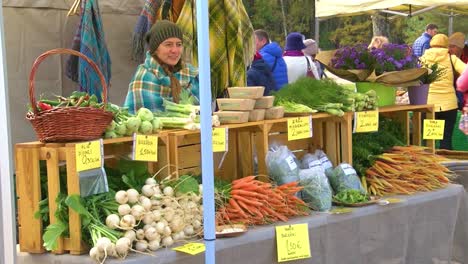 Auf-Dem-Hausmarkt-Gibt-Es-Alles,-Was-Man-Selbst-Anbauen-Kann