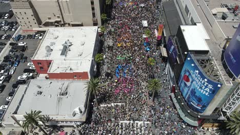 Blm-Marsch-In-Los-Angeles