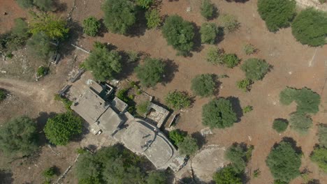 Aearial-drone-view-of-an-olive-tree-garden-in-Carovigno,-a-region-in-Apulia-Nort-Italy,-Olive-farm-with-on-old-building-birds-eye-view