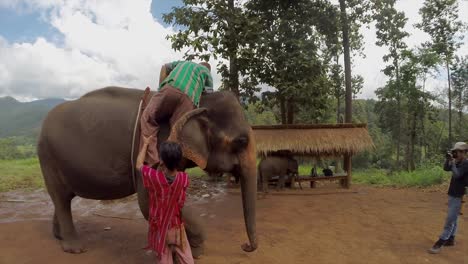 Caucasian-tourist-climbs-atop-an-Elephant-for-a-trek-in-Northern-Thailand