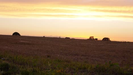 Sonnenuntergang-über-Dem-Bauernfeld-Mit-Zaunsilhouette,-Schwenkaufnahme