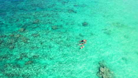 Family-people-swim-on-calm-crystal-water-of-shallow-turquoise-lagoon,-watching-beautiful-rocks-and-corals-on-seabed,-Caribbean