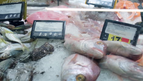 Fresh-fish-on-sale