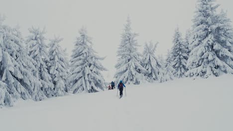 Ski-touring-woman-walks-on-the-skis-during-snowfall-in-snow-covered-landscape,-slow-motion