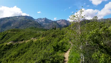 Flying-over-a-hiking-trail-in-a-forested-rocky-mountain-wilderness
