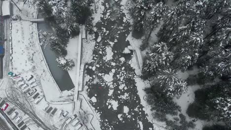 Aerial-Top-Down-slow-Zoom-Out-shot-of-Beas-river-dividing-Old-Manali-town-and-the-Large-Pine-tree-forest-covered-with-snow-right-after-a-heavy-snowfall-during-the-winters-shot-with-a-drone-in-4k