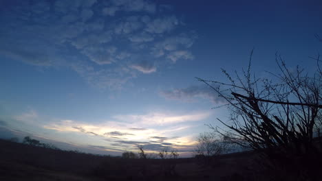 Low-wide-angle-timelapse-of-clouds-forming-in-the-late-afternoon-at-the-Greater-Kruger-National-Park,-Africa