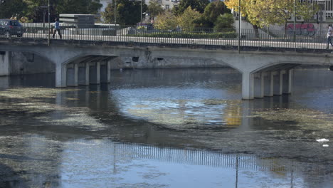 A-bridge-over-the-calm,-mossy-waters-of-the-Lis-River-in-Leiria,-Portugal-with-people-and-vehicles-crossing---Close-up