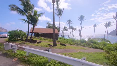 Driving-beside-beautiful-lagoon-with-blue-sea-and-palm-trees-at-Oahu-island-in-Hawaii