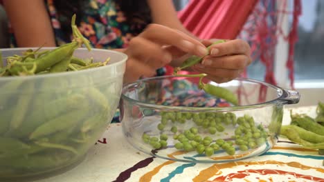 Woman-shelling-garden-peas-from-pods-into-bowl,-home-grown-from-back-garden