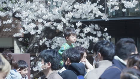 Niño-Feliz-En-El-Hombro-De-Su-Padre-Disfrutando-De-La-Práctica-De-Hanami-Para-Ver-Flores-Durante-La-Pandemia-En-Tokio,-Japón