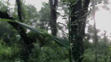 Clip-Perfecto-En-Cámara-Lenta-Aquí