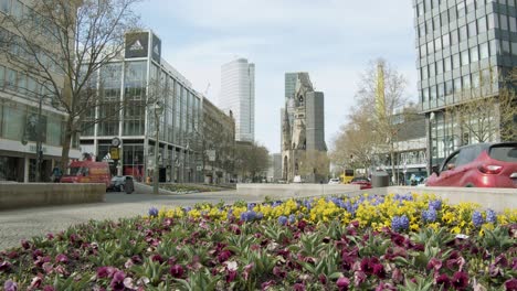 Primavera-En-Berlín-Occidental-Con-Hermosas-Flores-En-La-Zona-Comercial-Junto-A-Kudamm