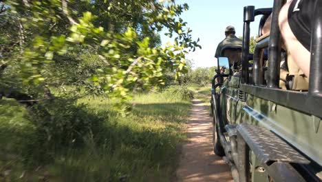 Zu-Sehen-Ist-Ein-Offener-Safari-Truck,-Der-Durch-Den-Busch-In-Südafrika-Fährt-Und-Eine-Touristengruppe-Auf-Ein-Abenteuer-Durch-Das-Hohe-Gras-Und-Die-Grünen-Bäume-Mitnimmt