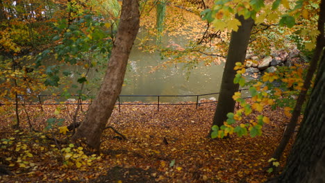 Grüner-Teich-Im-Herbstwald