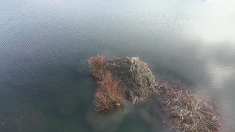 High-angle-aerial-view-of-beaver-dam,-Canada