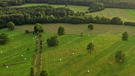 Fields-of-haystacks-and-oak-trees
