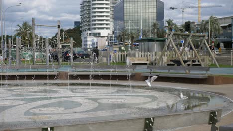 Möwen-Fliegen-Am-Wasserbrunnen-Mit-Mosaik-Maori-Design-In-Der-Nähe-Des-Spielplatzes-Am-Wasser-In-The-Strand,-Tauranga,-Neuseeland