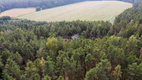 Holzhaus-An-Einem-Kleinen-See,-Versteckt-In-Einem-Wald,-Auf-Dem-Land-In-Tschechien