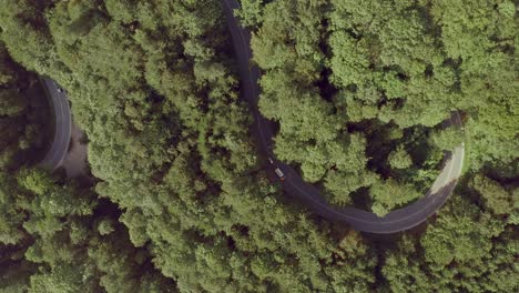 A-car-with-a-boat-at-its-trailer-is-driving-along-a-curvy-road-in-a-deep,-green-woodland,-captured-by-a-drone-from-above