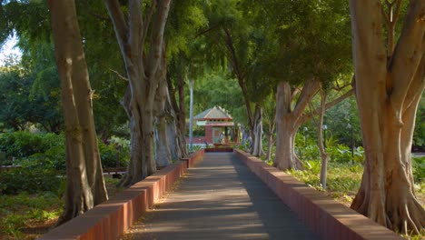 Gente-Caminando-En-El-Camino-En-El-Jardín-Botánico-De-Brisbane