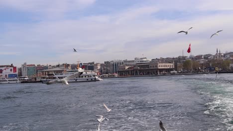 Schwarm-Möwen,-Die-Auf-Der-Rückspülung-Im-Bosporus-Fliegen,-Mit-Stadtbild-Von-Istanbul,-Türkei-Im-Hintergrund-–-Blick-Vom-Segelboot-–-Pov
